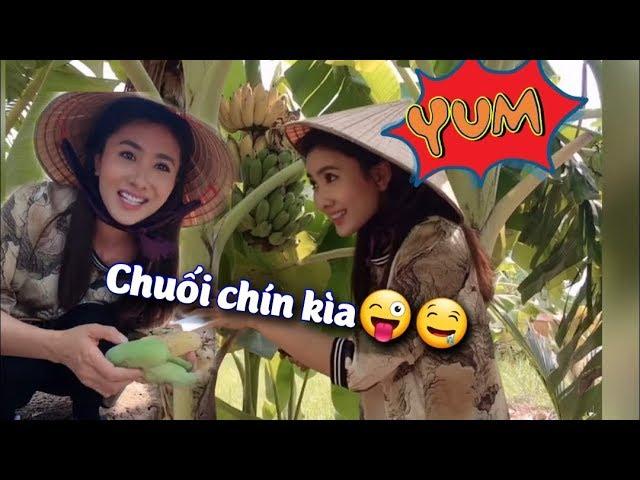 Niềm vui nhỏ cuối năm của Nguyệt Ánh