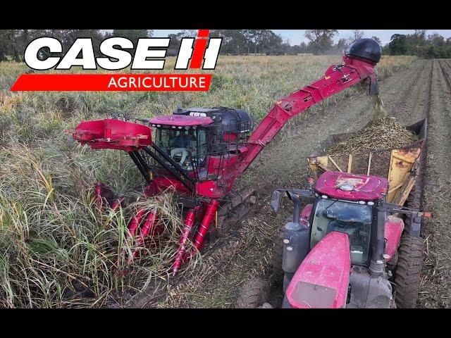 Case 9990 Dual Row in Burnt Cane 4K