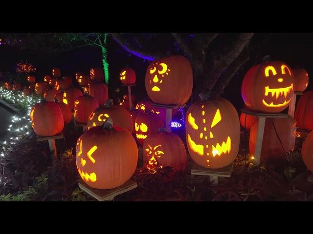 Jack O'Lantern Glow presented by Medpace