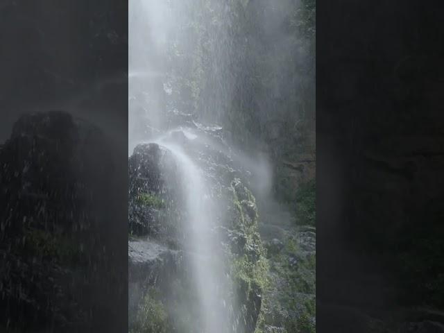 4K beautiful waterfall #viral #trending #nature #travelspot