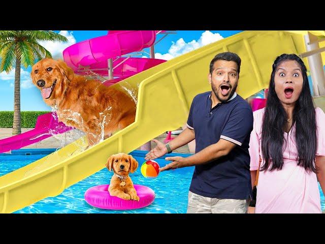 We Made Biggest Water Park For Our DOG!!!