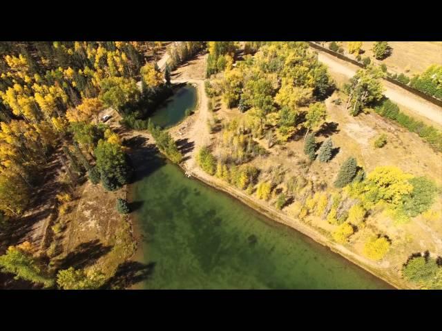 Magnificent Mountain Acreage ~ Lake City, Colorado