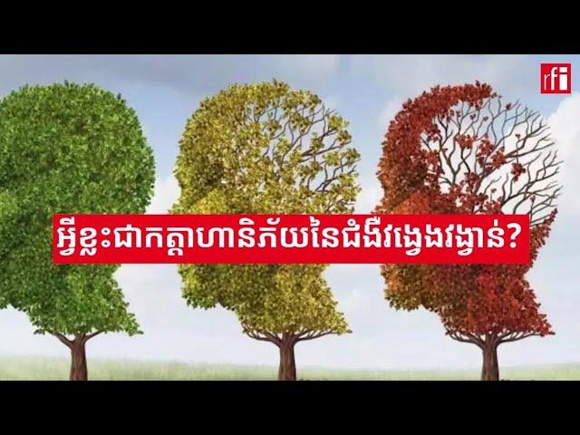 ការ​ពារ​សុខភាព​ភ្នែក ជា​ផ្នែក​មួយ​នៃ​ការ​ពារ​ប្រឆាំងនឹង​ជំងឺវង្វេងវង្វាន់