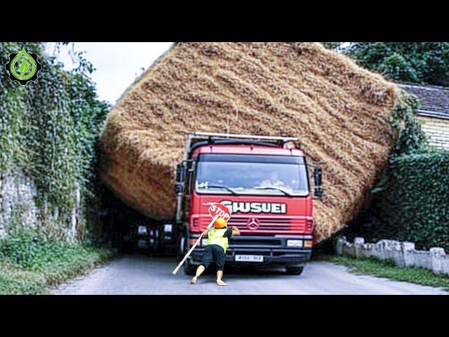 Dangerous Idiots Truck & Heavy Equipment Fails Compilation | Extreme Truck Idiots at Work #41