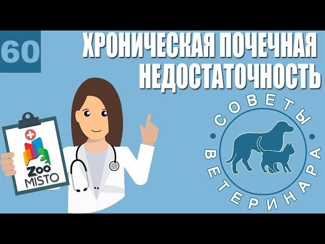 Хроническая Почечная Недостаточность | Лечение почечной недостаточности | Советы Ветеринара