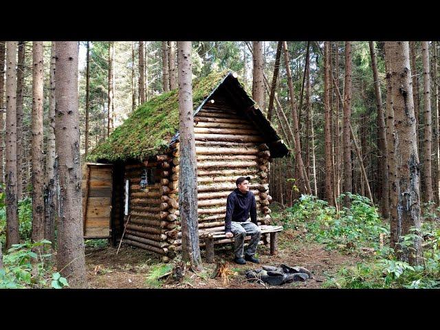 Restoration of a bushcraft shelter from the rain. The most beautiful forest house in a log cabin.