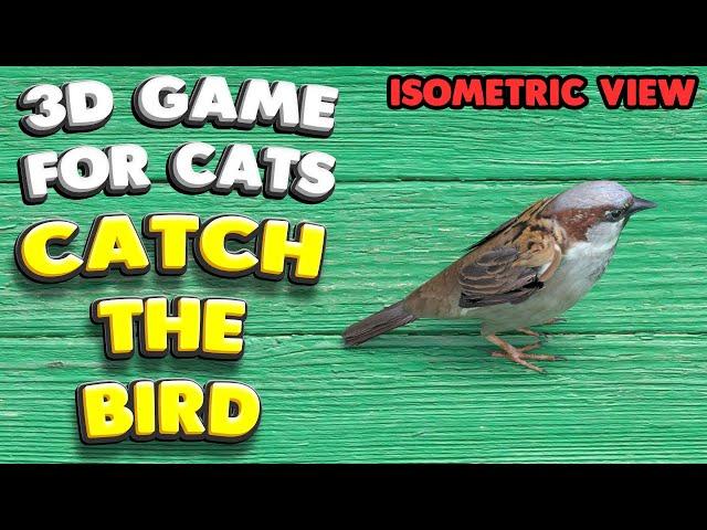 3D game for cats | CATCH THE BIRD (isometric view) | 4K, 60 fps, stereo sound