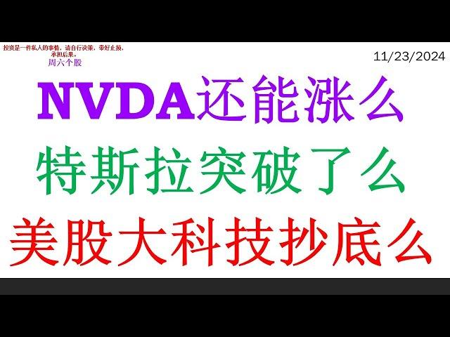 NVDA还能涨么, 特斯拉突破了么。美股大科技抄底么