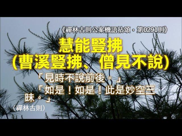 《禪林古則公案機語拈頌‧第0291則‧（東土六祖）慧能豎拂（曹溪豎拂、僧見不說）》「見時不說前後。」「如是！如是！此是妙空三昧。」