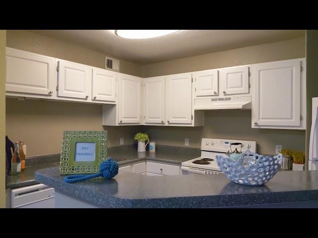 Luxury Apartment Shoot | No Narration 1/3