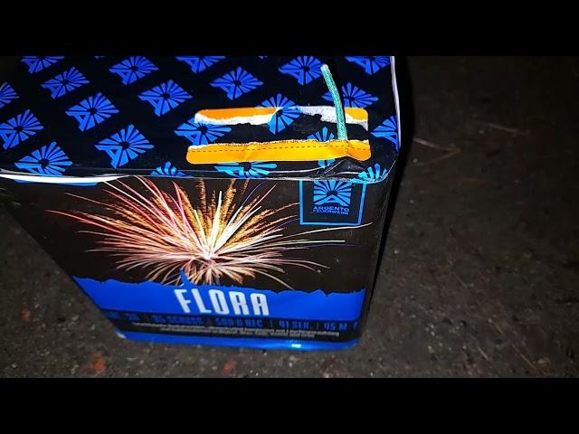 Argento Feuerwerk - FLORA - 30MM 25.sh Batterie Silvester 2021 - THE PYRO HUNTERS