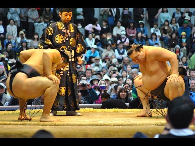 Yokozuna Hakuho vs Yokozuna Kakuryu - Outdoor Sumo