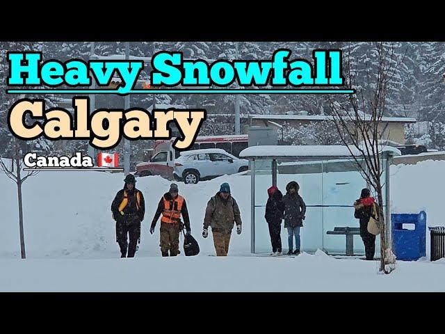 Heavy Snowfall and Freezing Cold in Calgary Alberta Canada  #canada #calgary #Alberta #Snow