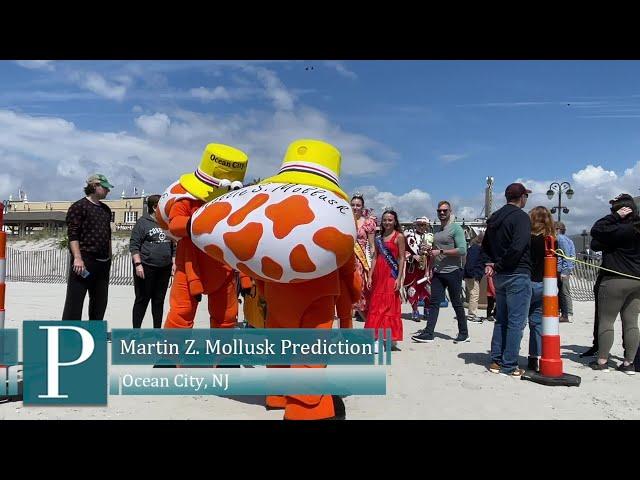 Martin Z. Mollusk sees his shadow in Ocean City