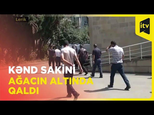 Kənd sakininin üstünə ağac aşıb | Lerik