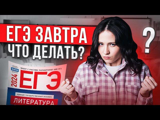 ЧТО ДЕЛАТЬ ЗА 1 ДЕНЬ ДО ЕГЭ ПО ЛИТЕРАТУРЕ?  || Юля Литра EL - ЕГЭLAND