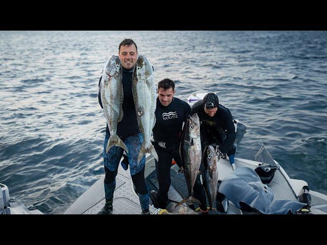 Spearfishing Green Jobfish & Dogtooth Tuna