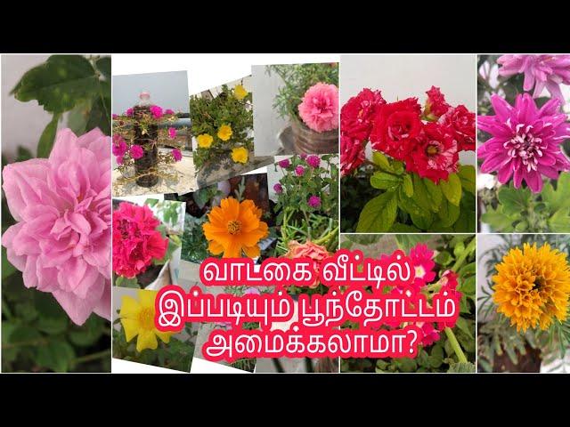 A beautiful flower garden in rental house/DIY ideas/வாடகை வீட்டில் ஒரு குட்டிப் பூந்தோட்டம்