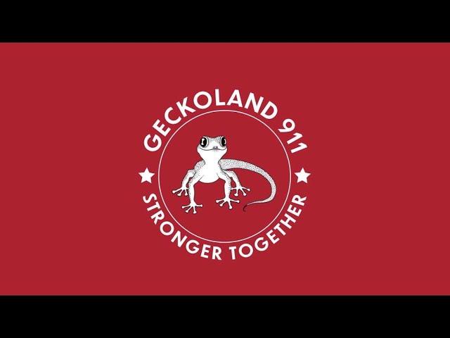 Geckoland Incident - 07 Dec 2022