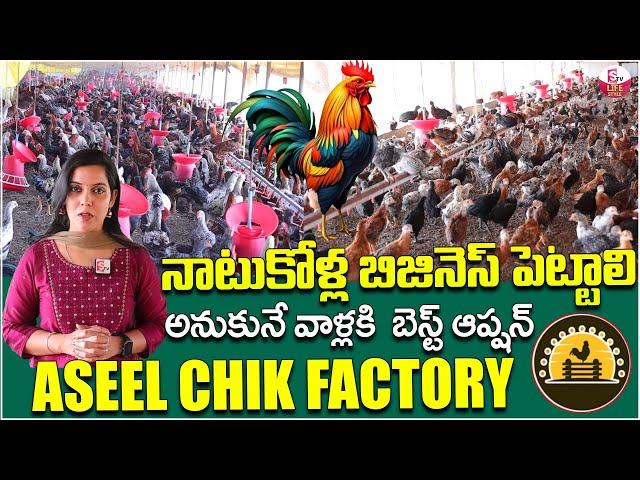 How To Start A Small Poultry Farm Business | Start Startup Business Ideas | SumanTV Lifestyle