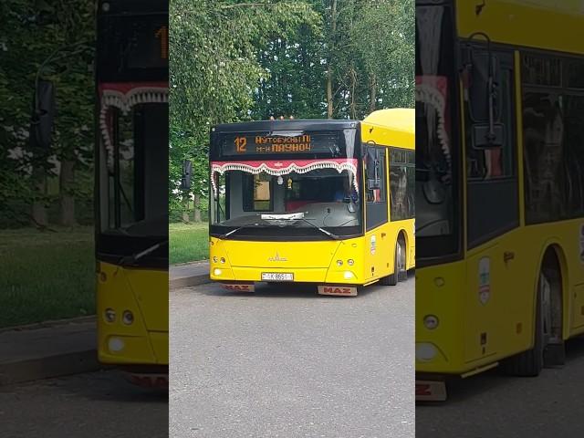 МАЗ-215Большой респект водителю! #maz #automobile #liaz