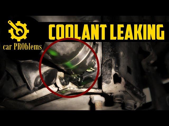 Coolant Leaking From Hose - How to Fix Antifreeze Hose Leak