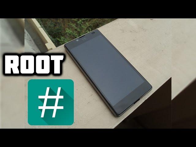 Root YU Yuphoria