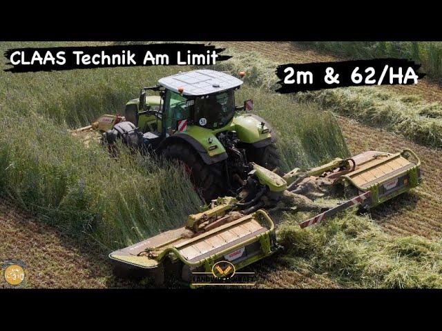 Hier kommt selbst das neue Claas Mähwerk ans Limit! 2m Roggen & 62T/HA Lohnauftrag Häckseln & Mähen