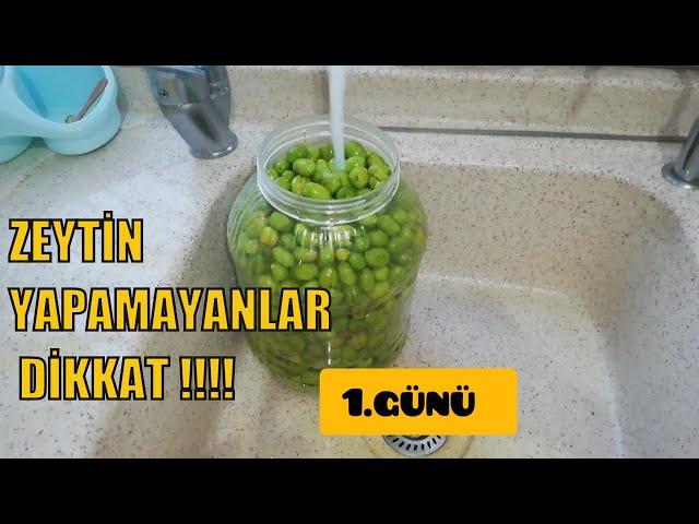 Zeytinlerim Bu şekilde Harika Oluyor Zeytin nasil tuzlanir? Kirma  zeytin nasil yapilir