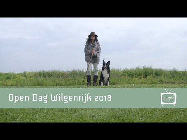 Open Dag Wilgenrijk | 2018 | Schapen en natuur, een ontspannen omgeving