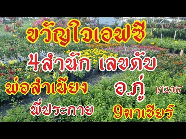 เลขดับ 4สำนัก เอาอยู่ พ่อสำเนียง อ.ภู่ พี่ประกาย 9มาเชียร์1/12/67