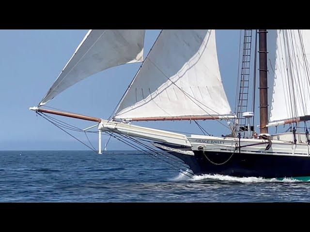 Why Sail Grace Bailey? Julian talks about his first time.