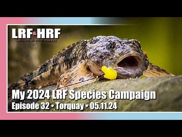 Episode 32: My 2024 LRF Species Hunt - Devon, Cornwall & Wiltshire