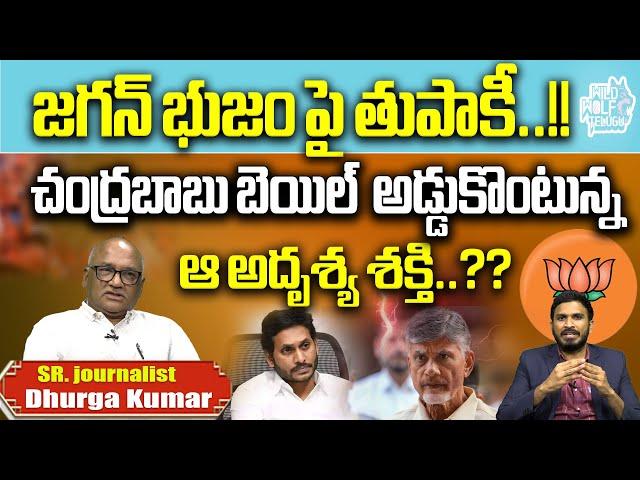 Chandrababu Naidu Bail Latest Updates | Siddarth Luthra | Chandrabbau Arrest | Wild Wolf Digital