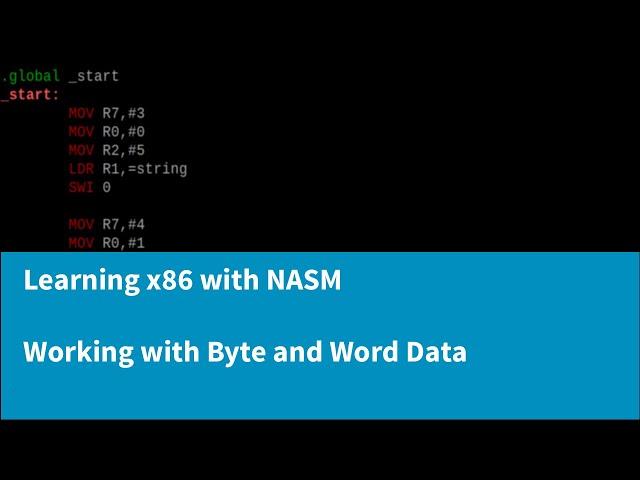 Learning x86 with NASM - Working with Byte and Word Data