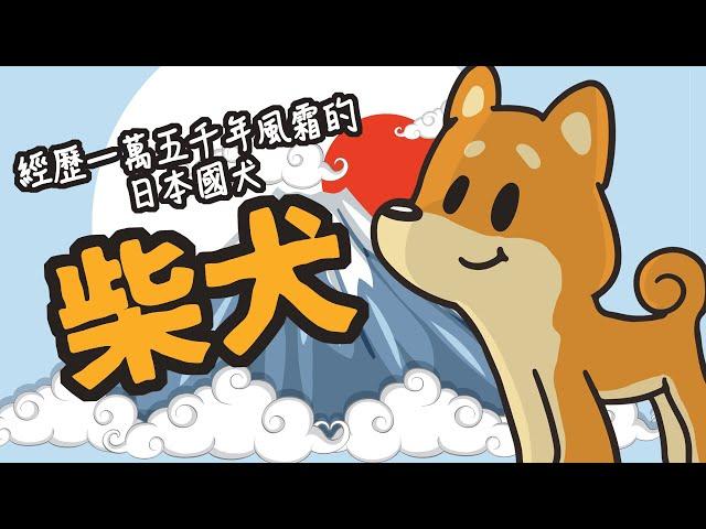 狗與鹿 ｜犬種的故事＃ 7 柴犬｜歷經一萬五千風霜的日本國犬，身價一夕暴增九千億