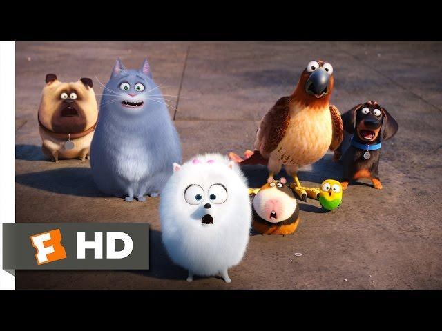 The Secret Life of Pets - Secret Route Scene (4/10) | Movieclips