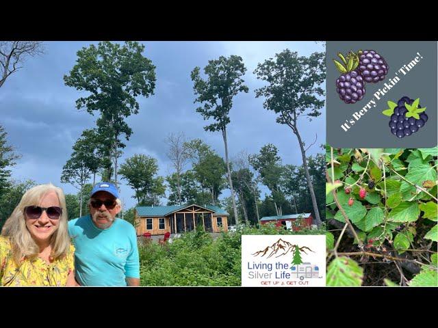 It’s Berry Pickin’ Time