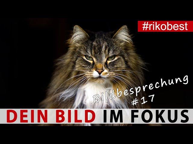 Dein Bild im Fokus #17  Fotografieren lernen durch Bildanalyse & Bildbesprechung - Fotokurs