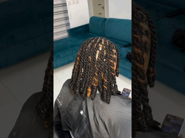 Starter locs with natural loc extensionsBeautiful styleExtensions and install  @locpalace_1.