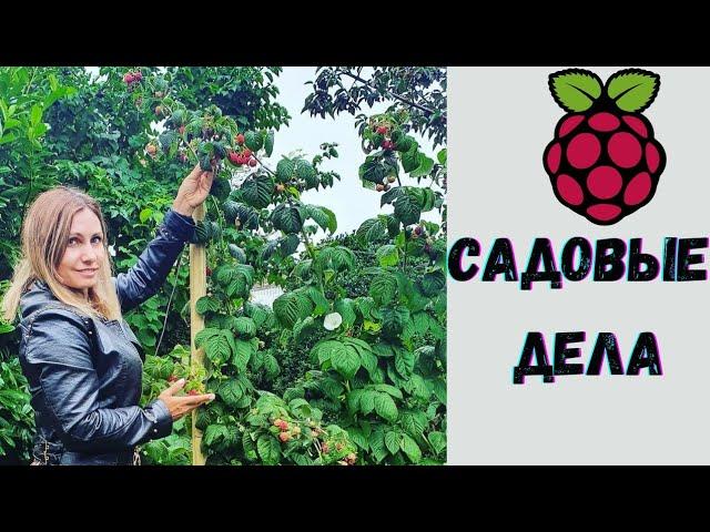 САД и ДАЧА| Швейцария | Черемша и Малина маленькие хитрости