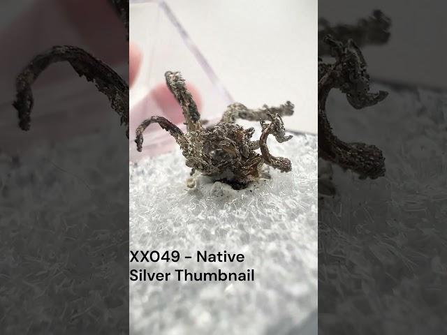 XX049 - Native Silver Thumbnail