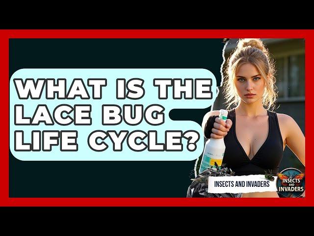 What Is The Lace Bug Life Cycle? - Insects and Invaders