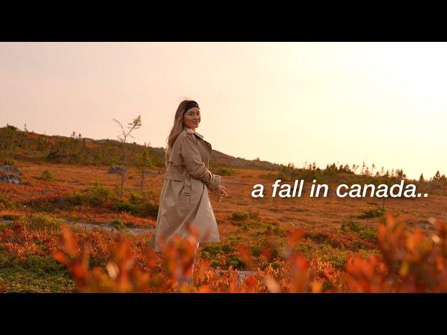 I explored canada for 7 days straight in PEAK fall foliage | whale watching, small towns, Tim Horton