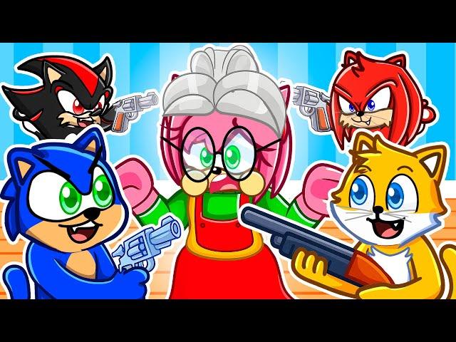 Sonic Plays Cat Vs Grandma in Roblox...