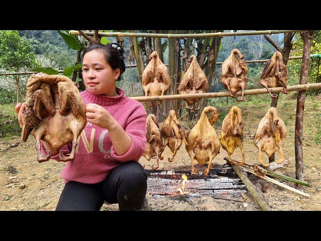 FULL VIDEO: 380 Days Build life farm - Smoked chicken, duck - Market sell - Gardening.