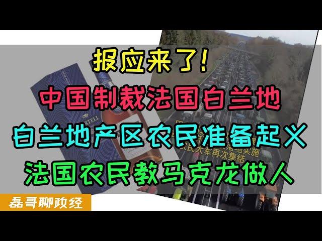 法国跟随欧盟制裁中国新能源汽车遭报应，中国商务部制裁法国白兰地痛打法国7寸，法国白兰地产业竟然完全依靠中国的一个省，法国农民会重新教马克龙做人