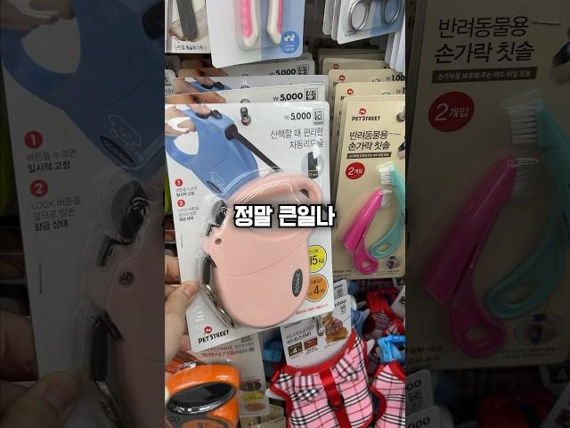 다이소 반려동물 개똥템 3가지 ㅋㅋㅋㅋㅋㅋㅋㅋㅋㅋㅋㅋㅋ