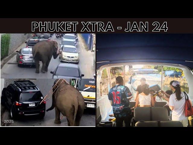 Elephant escapes and roams Phuket streets, Online TM6, Father fatally throws son || Thailand News