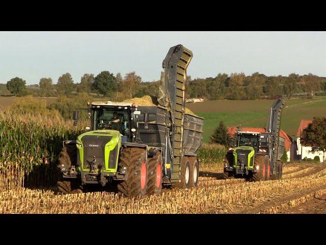 Maïs 2024 | 2x Claas Xerion 5000 met Stapel overlaadwagens | Claas Jaguar 970 | MAN | Maize harvest